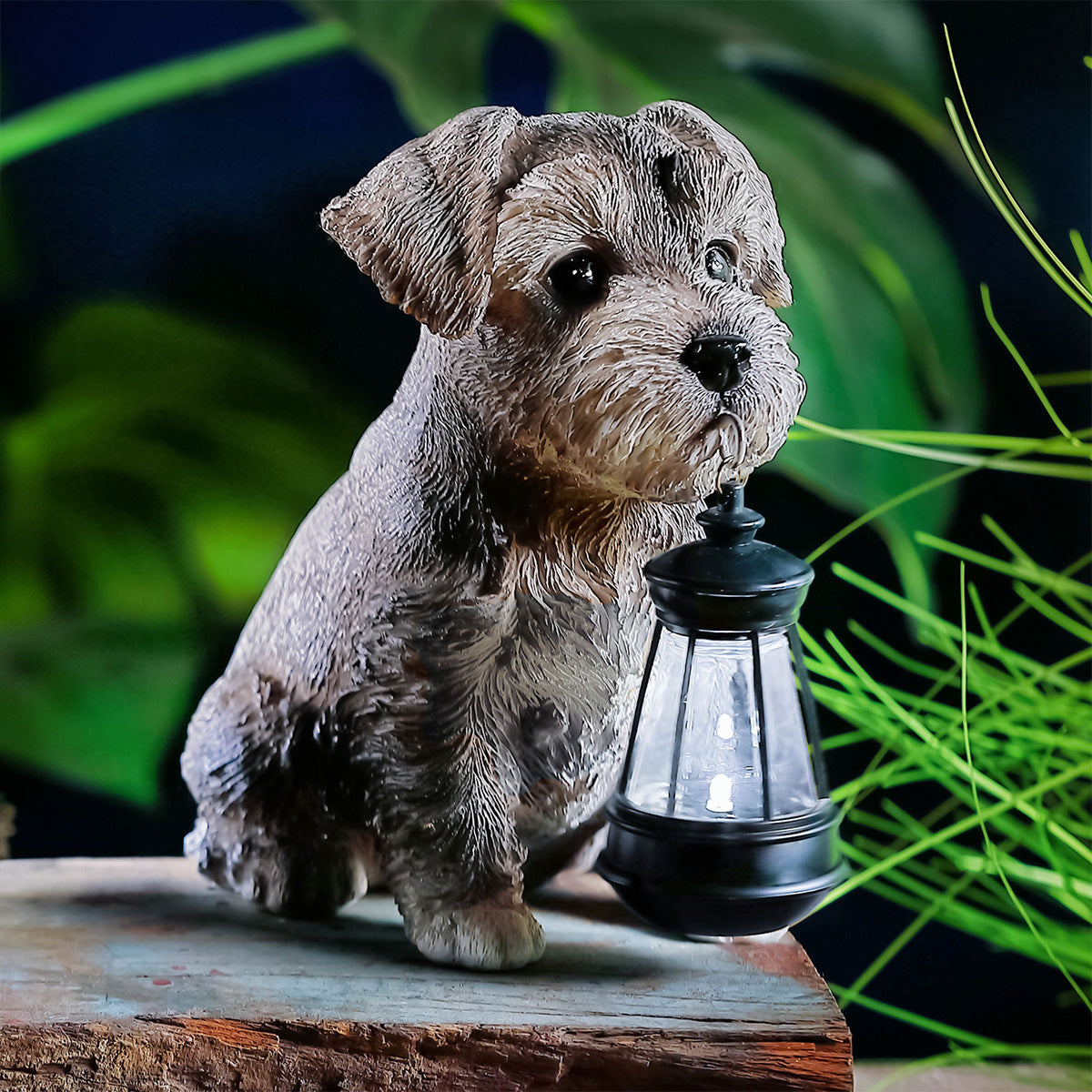Solar Dog Garden Lantern Decoration Grey Schnauzer Puppy - 15cm By Bright Garden Primary Image