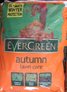 Scarify & aerate your lawn (2)