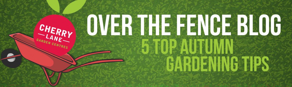 Header - top 5 autumn gardening tips