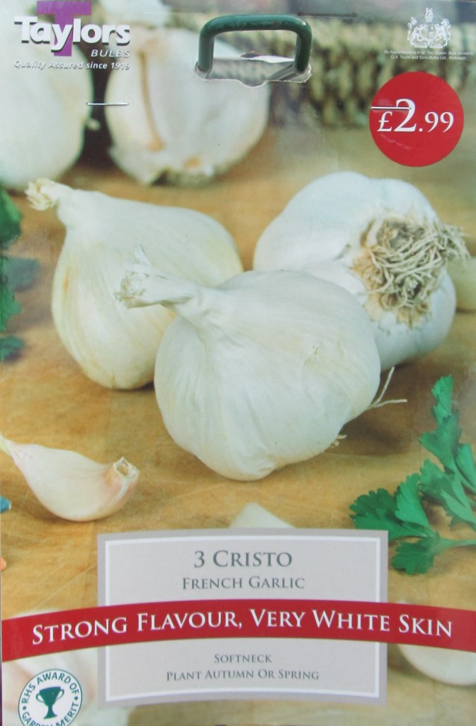 Plant Garlic #1
