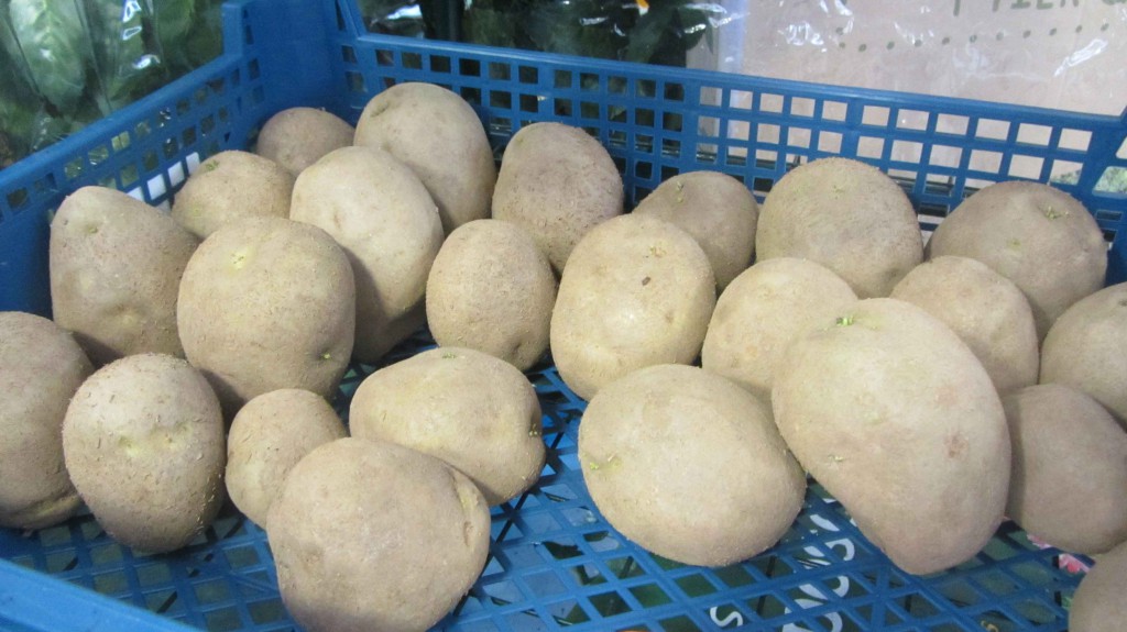 Start-Chitting-Potatoes-#2