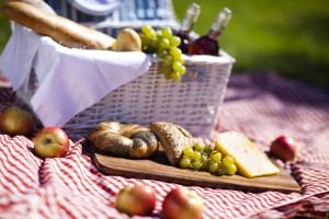 Grapes, wine and bread on a red checked picnic blanket