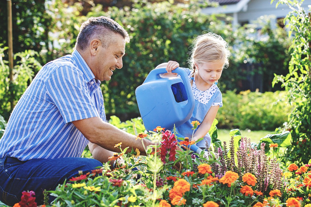 Grandfather is watering flowers with his granddaughter.