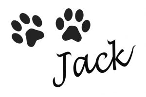Two black cat paw prints with the name Jack signature below