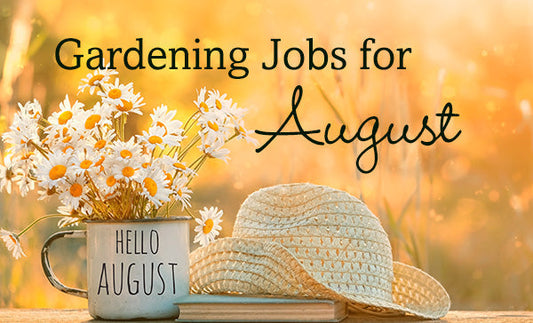 Jobs for August in the Garden