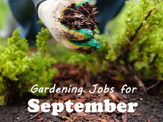 Gardening Jobs for September!