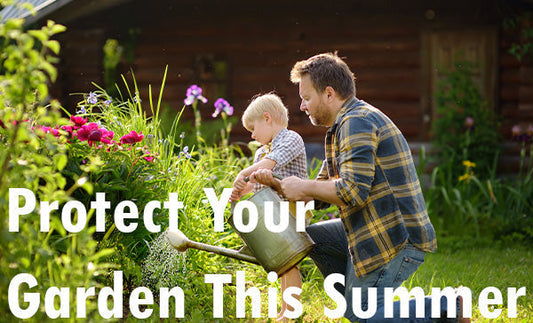 Protect Your Garden This Summer