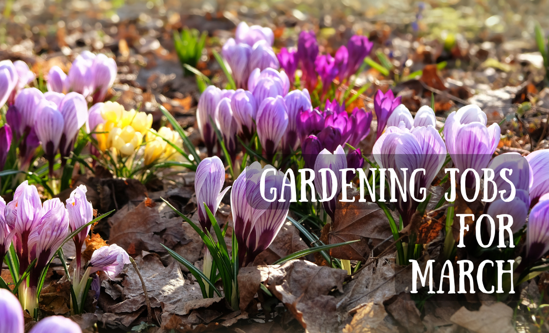 Gardening Jobs for March!