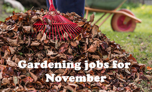 Gardening Jobs for November!