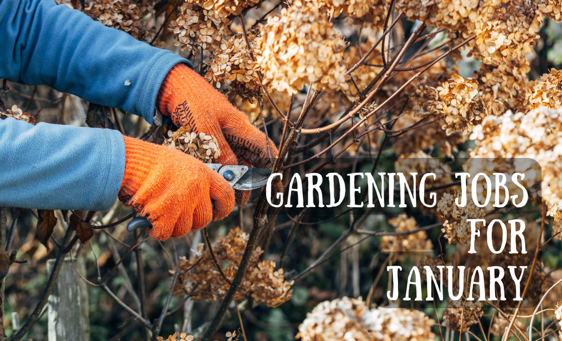 Gardening Jobs for January!