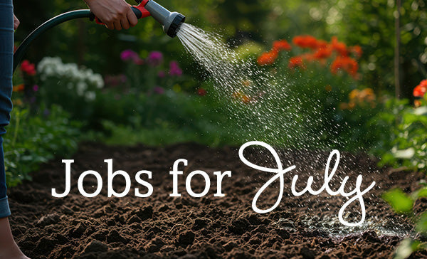 Jobs for July