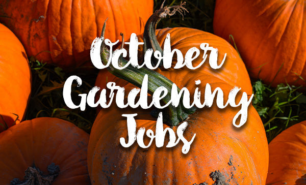 Gardening Jobs for October!