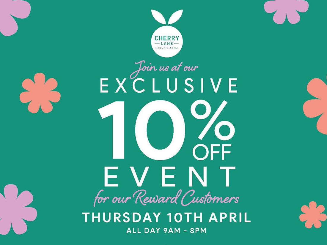 10% Off Everything* all day on Thursday 10th April!