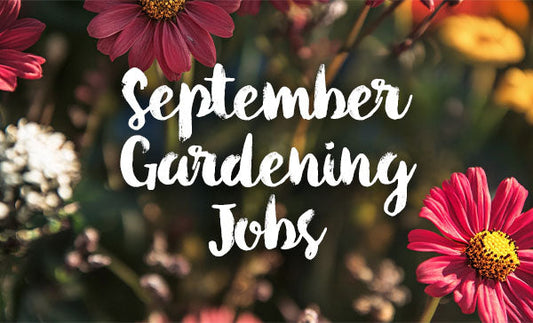 Gardening Jobs for September