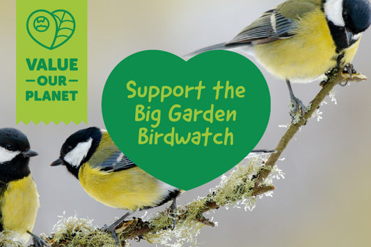 Support the Big Garden Birdwatch with Cherry Lane Garden Centre