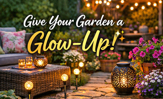 Give Your Garden a Glow-Up