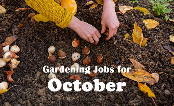 Gardening Jobs for October!