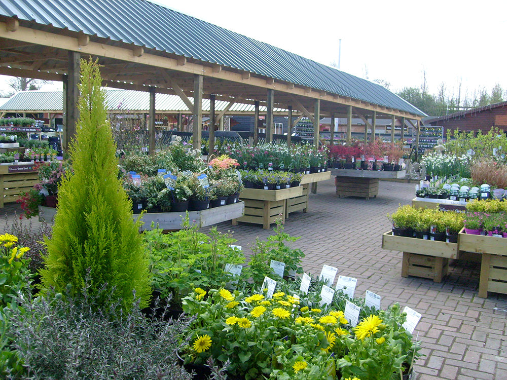 In-store Exclusive Products