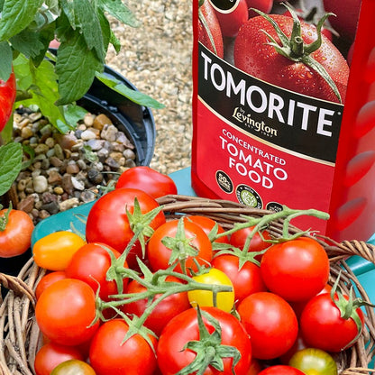Tomorite Levington Tomorite 1.2L Tomato Food