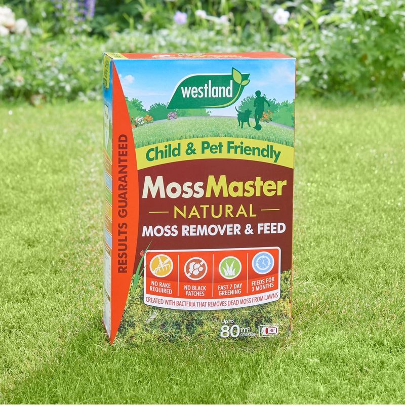 Westland Moss Master Natural Lawn Feed And Moss Remover - 80sqm