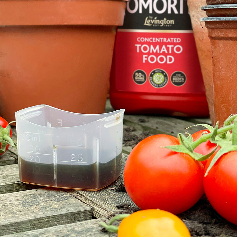 Tomorite Levington Tomorite 1.2L Tomato Food
