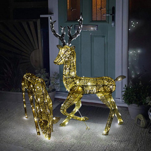 Christmas Light Up Reindeer Gold Stag & Doe Set