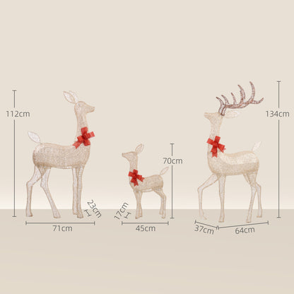 3 Piece Christmas Feature Light Multifunction Warm White Outdoor LED