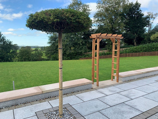 Scandinavian Redwood Garden Arch by Charles Taylor