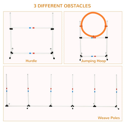 Agility Dog Obstacle Course With Carry Bag by Pawhut