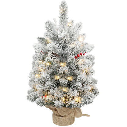 2ft Prelit Christmas Tree Artificial - White Frosted Green Ornament Warm White 72 Tips Primary Image