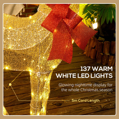 Christmas Feature Light Warm White Outdoor 137 LED - 1.35m