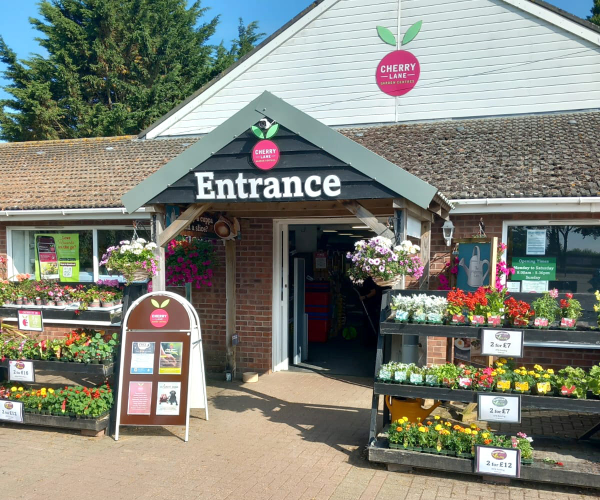 Cherry Lane Early Dawn Nurseries And Garden Centre