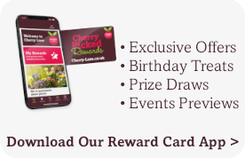 download our reward card app