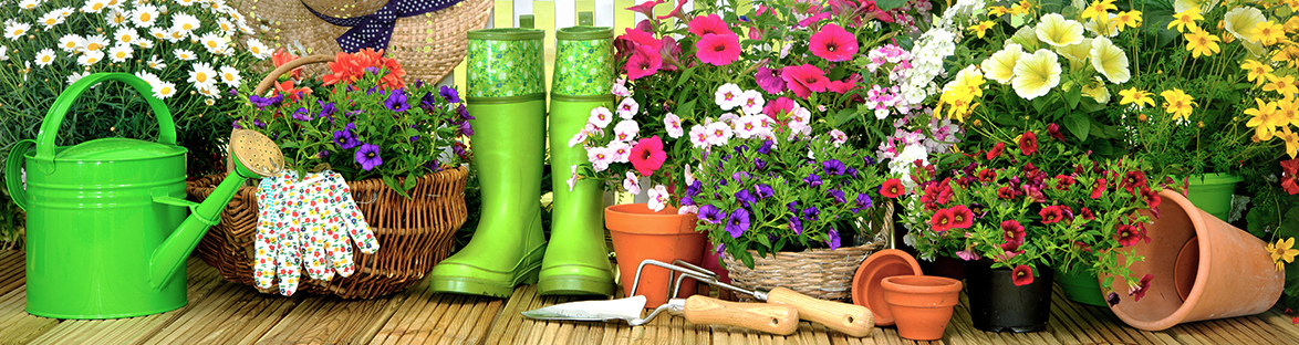 Gardening products to buy online