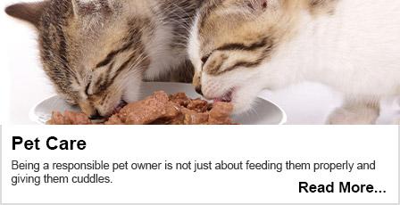 Read our Pet Care blog here.