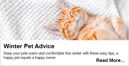 Read our Winter Pet Care blog here.