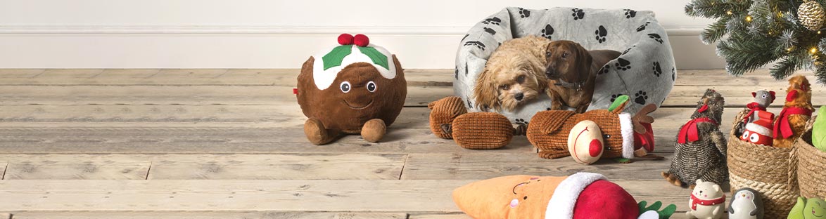 Cheap christmas presents for dogs and cats