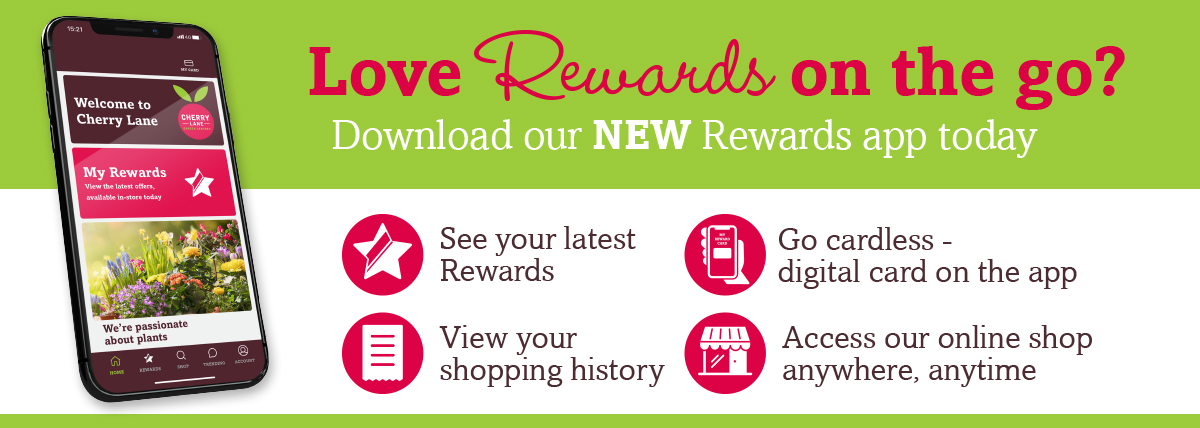 Download our Reward card App