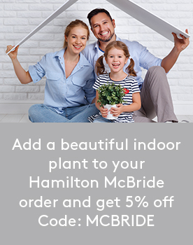 Save five percent when you buy an indoor plant with your Hamilton McBride items