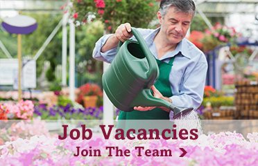Cherry Lane Job Vacancies