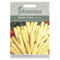 See more information about the Johnsons Sweet Corn Minipop F1 Seeds