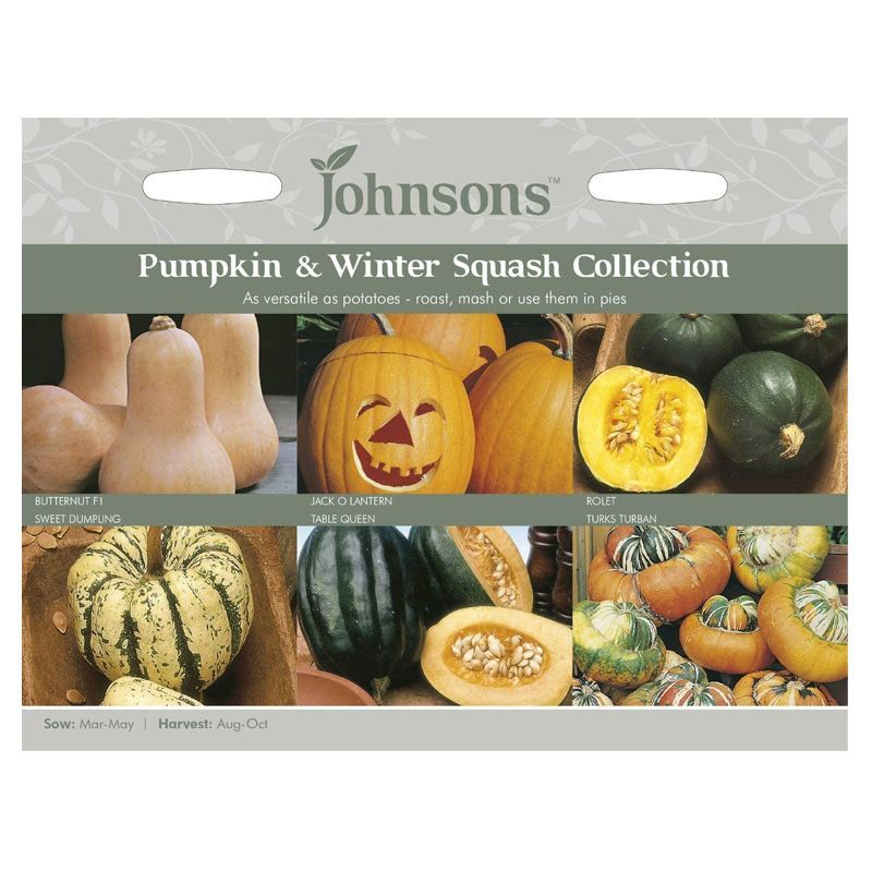 Johnsons Pumpkin & Winter Squash Seeds