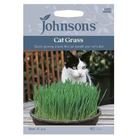 See more information about the Johnsons Cat Grass - Avena sativa Seeds