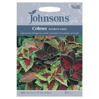 See more information about the Johnsons Coleus Rainbow Mixed Seeds