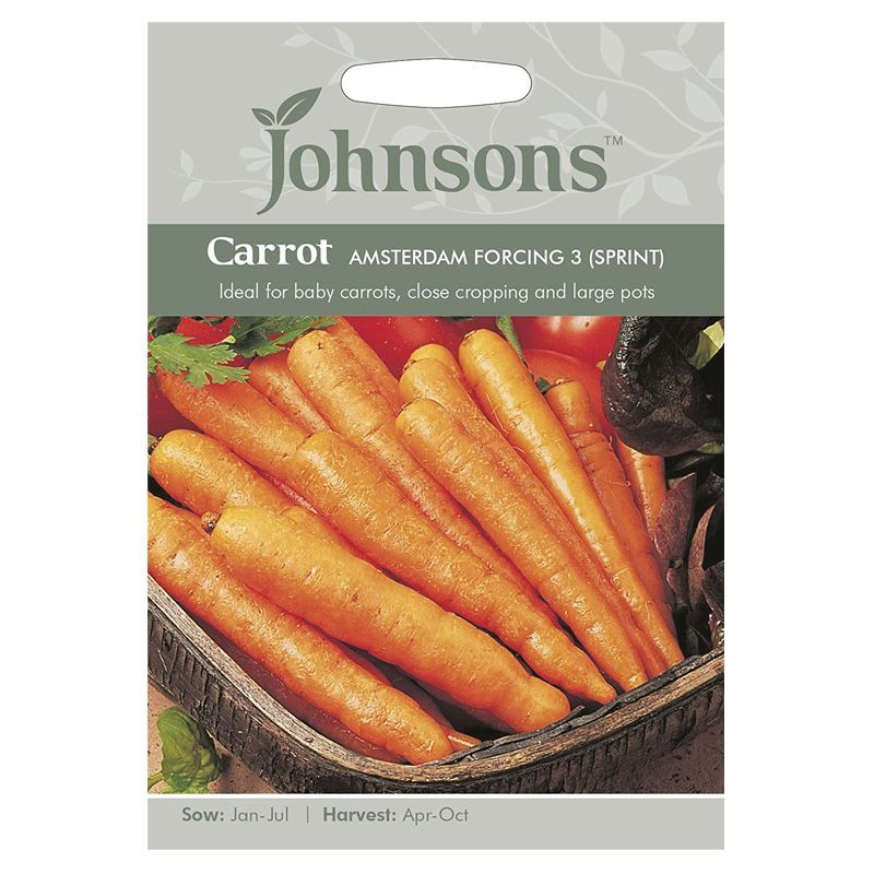 Johnsons Carrot Amsterdam Forcing 3 Sprint Seeds