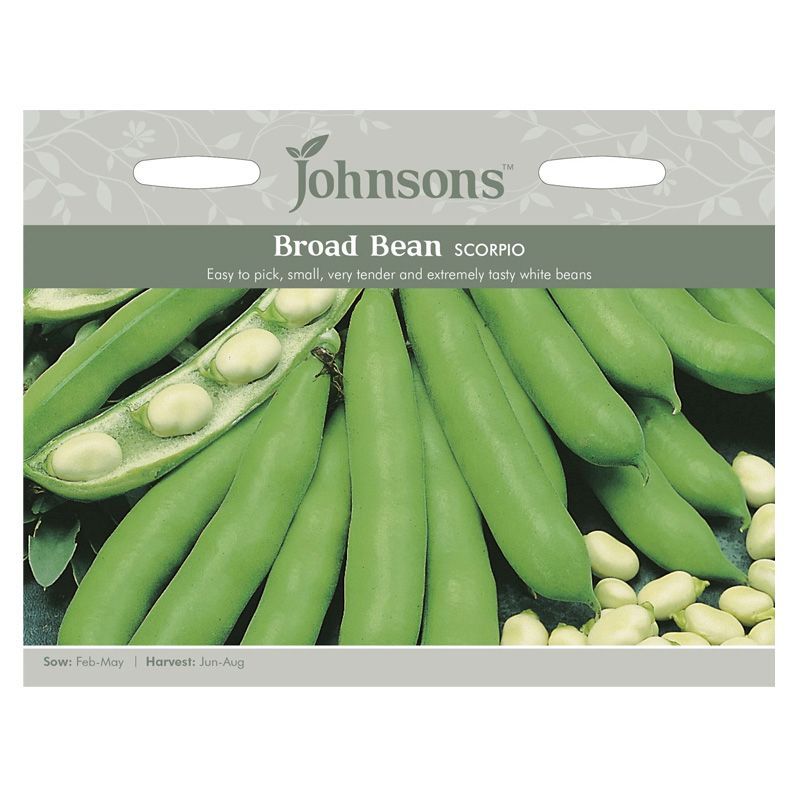 Johnsons Broad Bean Scorpio Seeds
