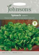 Johnsons Spinach Lazio F1 Seeds