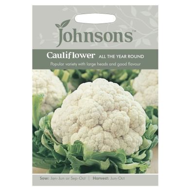 Image of Johnsons Cauliflower All The Year Seeds
