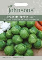 See more information about the Johnsons Brussels Sprout Brest F1 Seeds