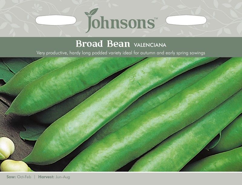 Johnsons Broad Bean Valenciana Seeds